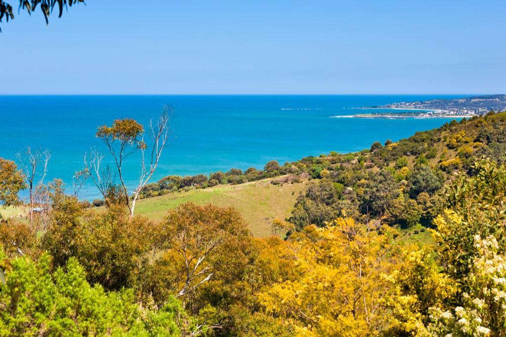 Beacon Point Ocean View Villas Skenes Creek Dış mekan fotoğraf