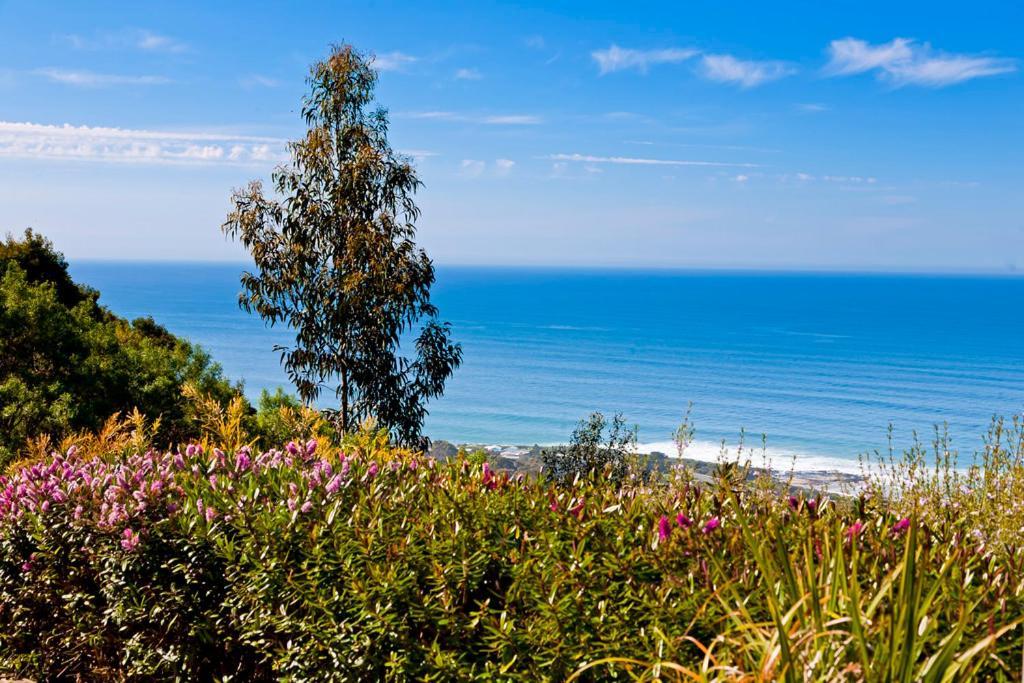 Beacon Point Ocean View Villas Skenes Creek Dış mekan fotoğraf